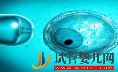 人工授精和試管嬰兒的區(qū)別有哪些 人工授精和試管嬰兒的區(qū)別有哪些(圖1)