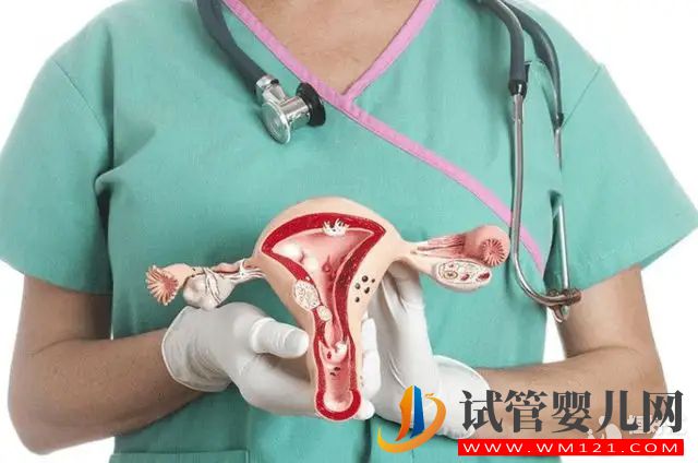 當身體發出這些信號時，要留意子宮問題了(圖1)