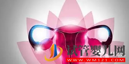 當身體發出這些信號時，要留意子宮問題了(圖2)