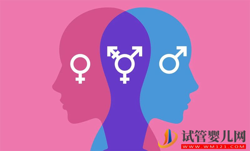 拉拉a卵b懷費用大概多少(圖1)