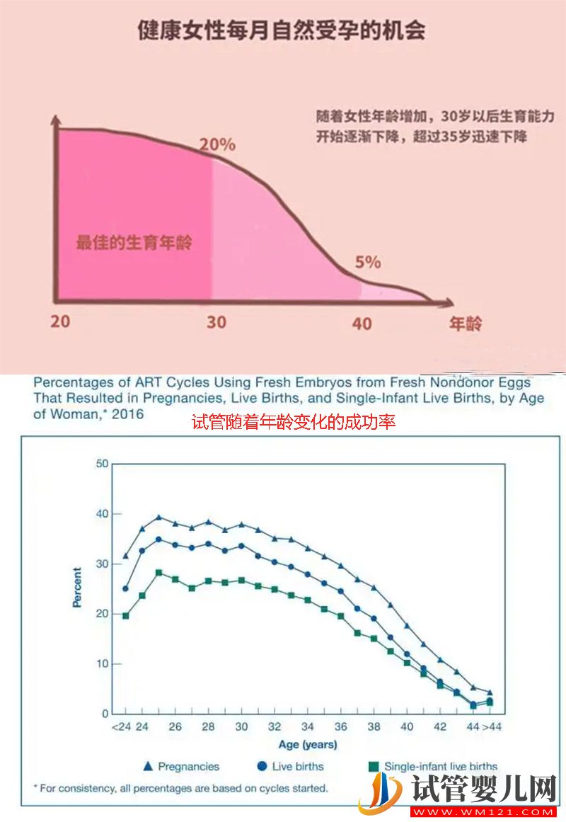 10個人做試管幾個能成功?試管成功率是相對的不是絕對的!(圖1)