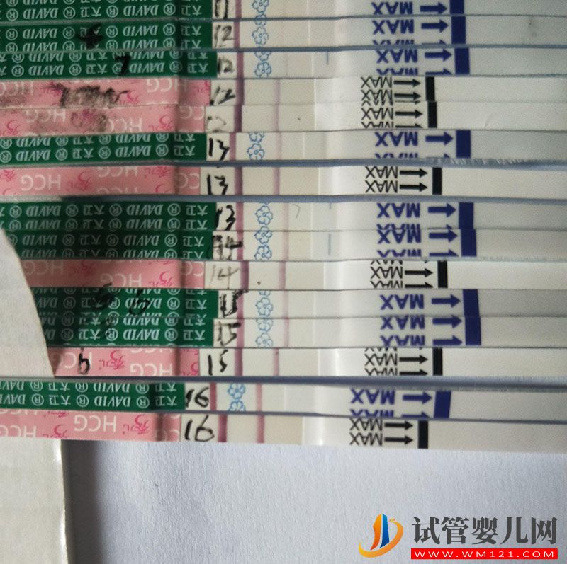 朋友給供卵做試管要多少錢(圖2)