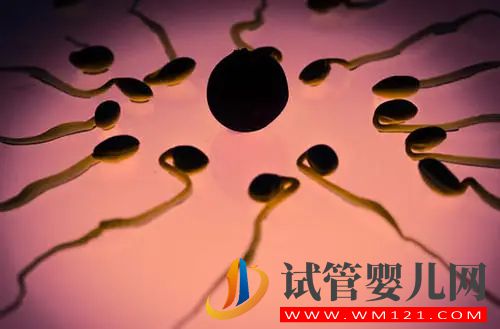 百分百生男孩的方法訣竅很多人已經通過它成功生下男孩(圖2)