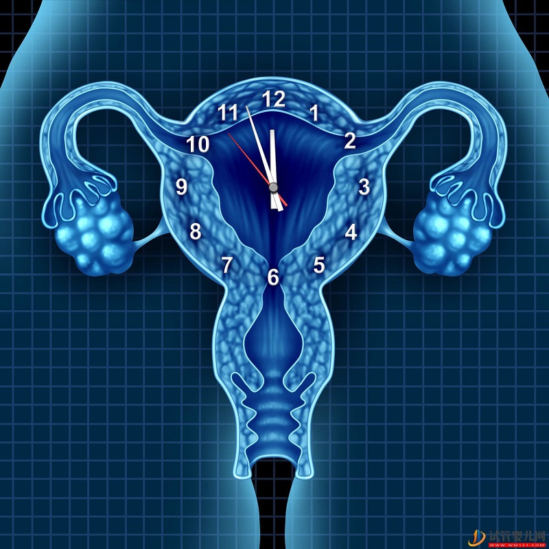 35歲做試管嬰兒成功率還高不高了？(圖1)