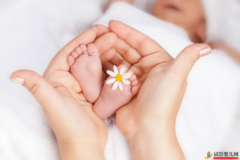 女性吃黑豆可以提前排卵 備孕吃黑豆真的有用嗎(圖1)