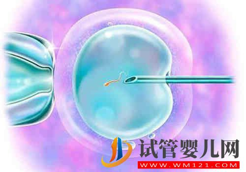 5個(gè)月的寶寶用y型奶嘴和圓奶嘴哪個(gè)喝奶快？(圖2)