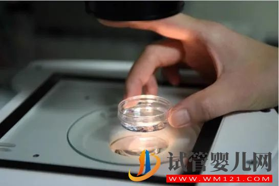 “試管嬰兒”費(fèi)用納入醫(yī)保,能緩解生育率走低嗎(圖1)