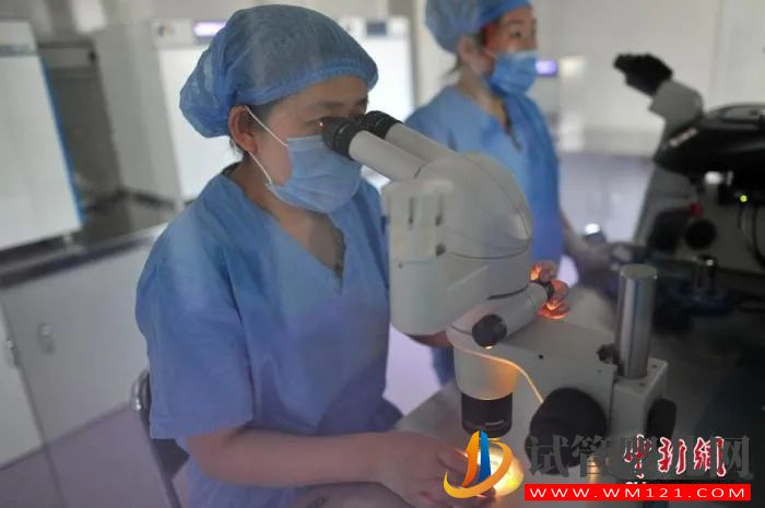 “試管嬰兒”費(fèi)用納入醫(yī)保,能緩解生育率走低嗎(圖3)