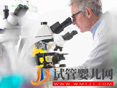 瑪沁試管嬰兒取精禁欲兩天夠嗎？(圖1)