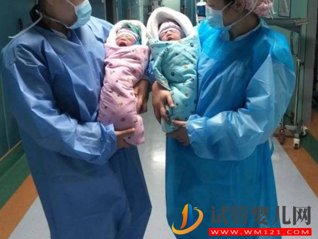 有2個成熟卵泡是不是一定就會生雙胞胎？(圖1)