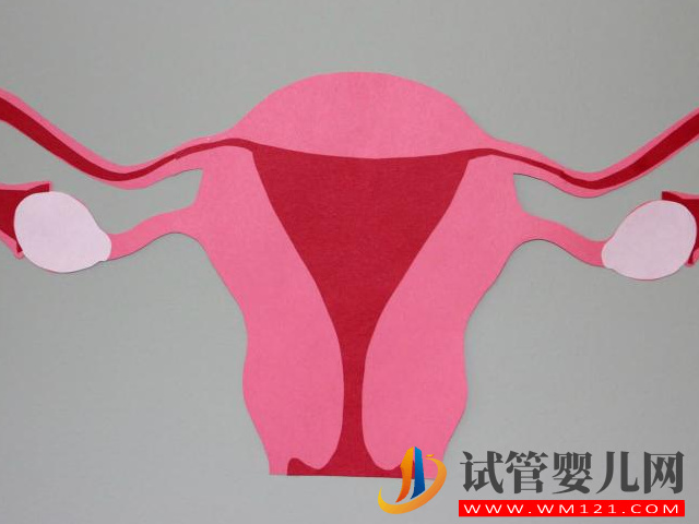 子宮要多大才可以在做試管的時候移植雙胎？(圖1)