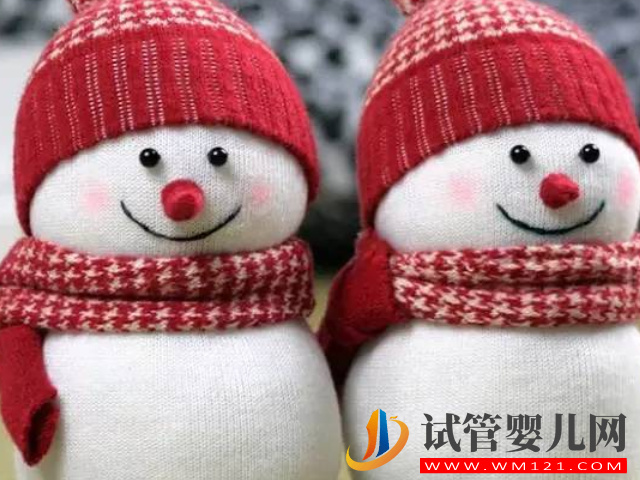 做試管移植一個鮮胚變成雙胞胎需要什么條件？(圖1)