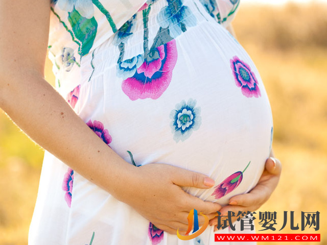 做試管移植一個鮮胚變成雙胞胎需要什么條件？(圖2)