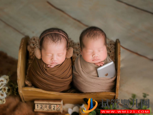 試管嬰兒中的“單卵雙胎”可不是好事,早產(chǎn)、畸形風險高(圖1) 試管嬰兒中的“單卵雙胎”可不是好事,早產(chǎn)、畸形風險高(圖1)