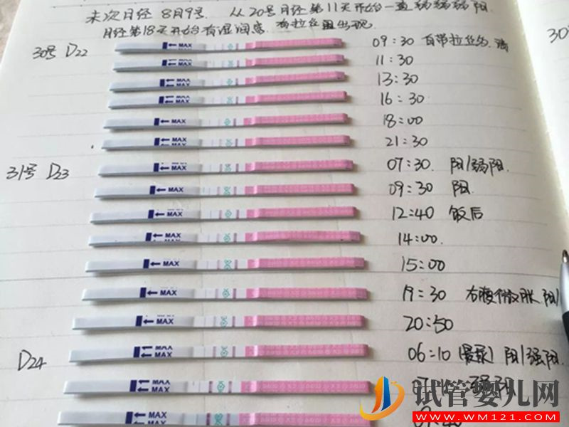 經驗分享：難孕，做試管胚胎等級一般但順利懷孕(圖2)