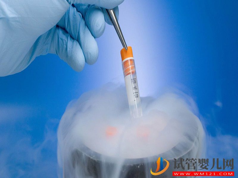 女性在國內(nèi)冷凍卵子需要多少錢？(圖1)