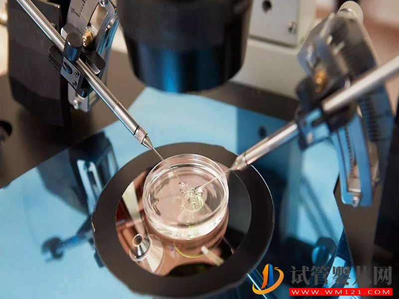 美國凍卵醫(yī)院費用要備足，提前了解三大流程更容易成功(圖1)