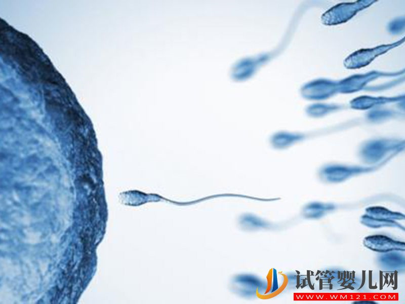 凍卵凍胚不一樣，本質區別在于是否與精子結合(圖1)