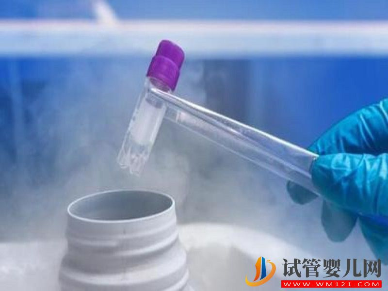 在香港做冷凍卵子，10年的保存費(fèi)用是多少？(圖2)