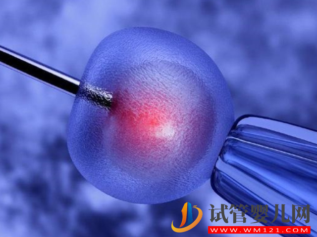 赴泰冷凍卵子沒想象中那么寬松，有無結(jié)婚計劃成決定因素(圖1)