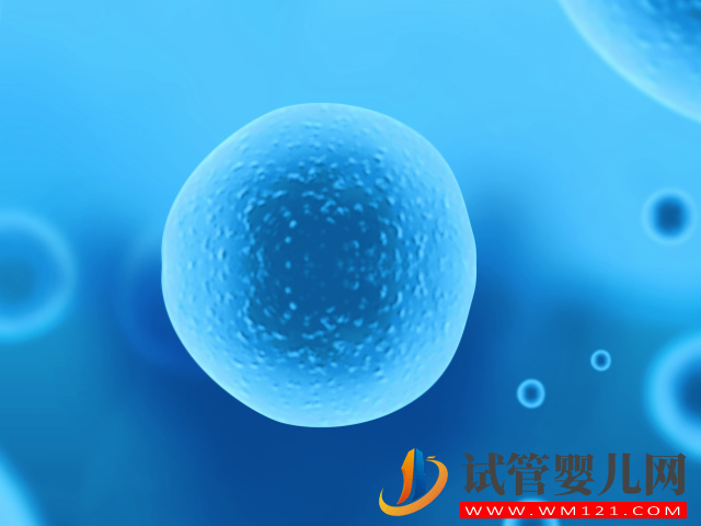 赴泰冷凍卵子沒想象中那么寬松，有無結(jié)婚計劃成決定因素(圖3)