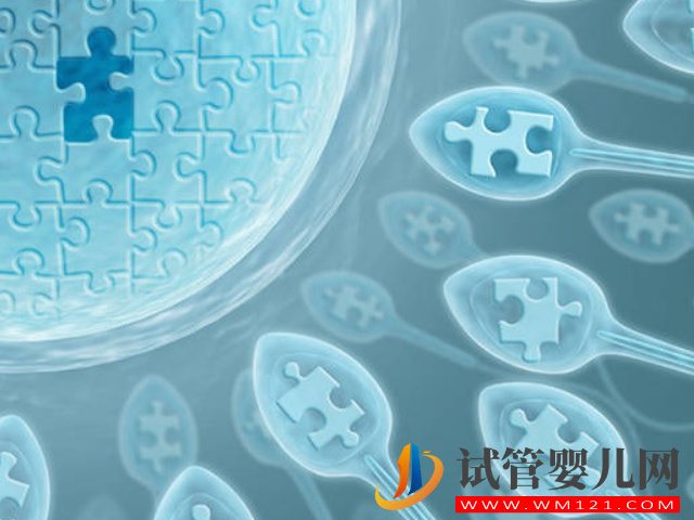 國內禁止單身女性冷凍卵子的原因分享，并不一定是件好事(圖1)