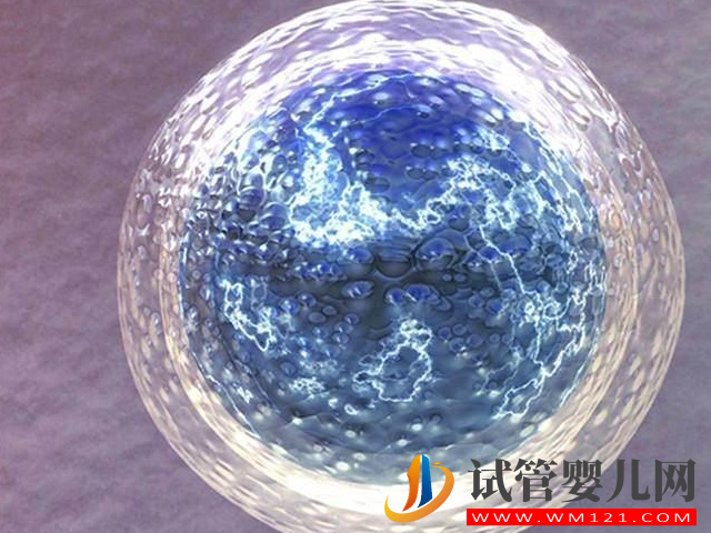 國內禁止單身女性冷凍卵子的原因分享，并不一定是件好事(圖2)