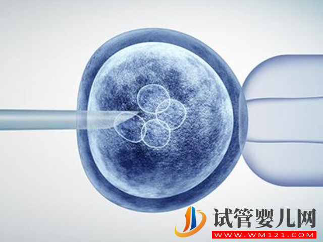 高齡女性做試管用凍卵成功率高嗎?(圖1) 高齡女性做試管用凍卵成功率高嗎?(圖1)