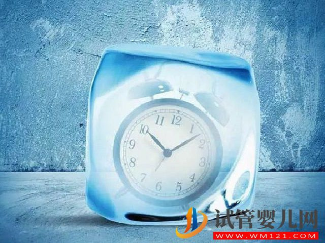 國內北醫三院冷凍卵子一年費用是多少？(圖1)