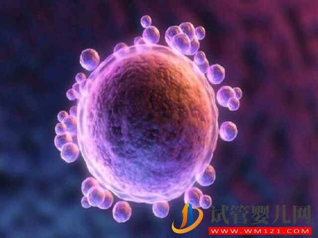 國內做一次凍卵的詳細流程有哪些？(圖1)