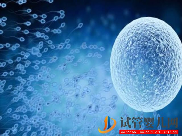 國內做一次凍卵的詳細流程有哪些？(圖2)