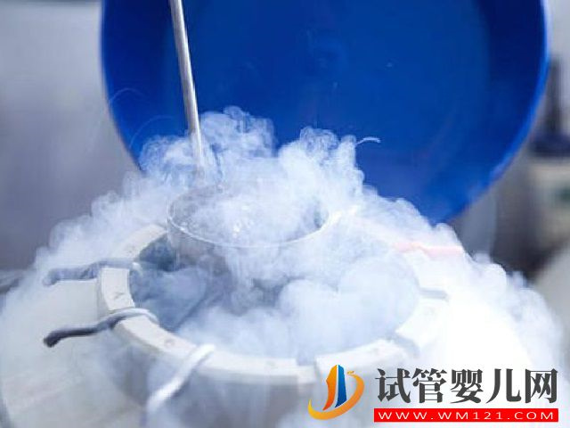 國外有哪些冷凍卵子的正規(guī)機(jī)構(gòu)？(圖2)