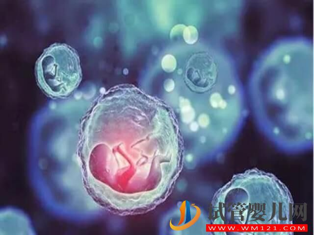 國內凍卵解凍復蘇的成活幾率大概是多少？(圖1)