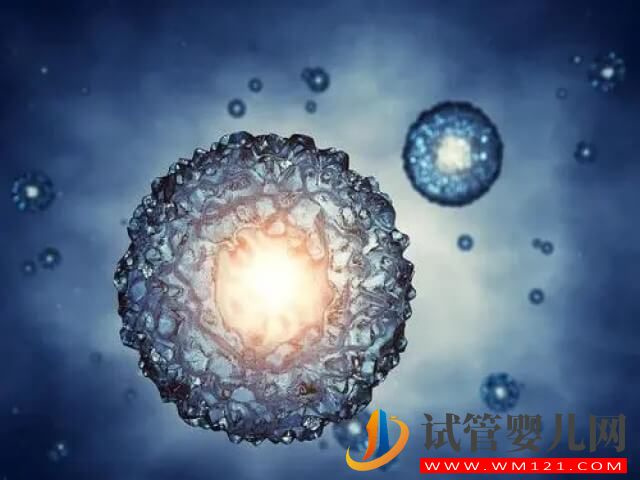 在國內冷凍卵子一年的費用大概是多少？(圖1)