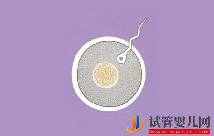 監(jiān)測卵泡只有3個，選擇試管促排卵方案的方法(圖2)