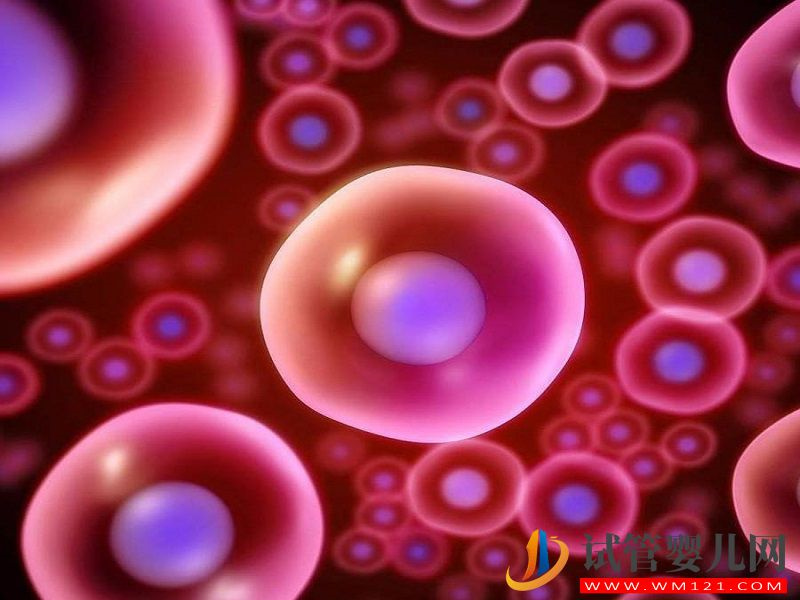 助孕女性黃體期促排卵需謹慎，5大注意事項不得不重視(圖1)