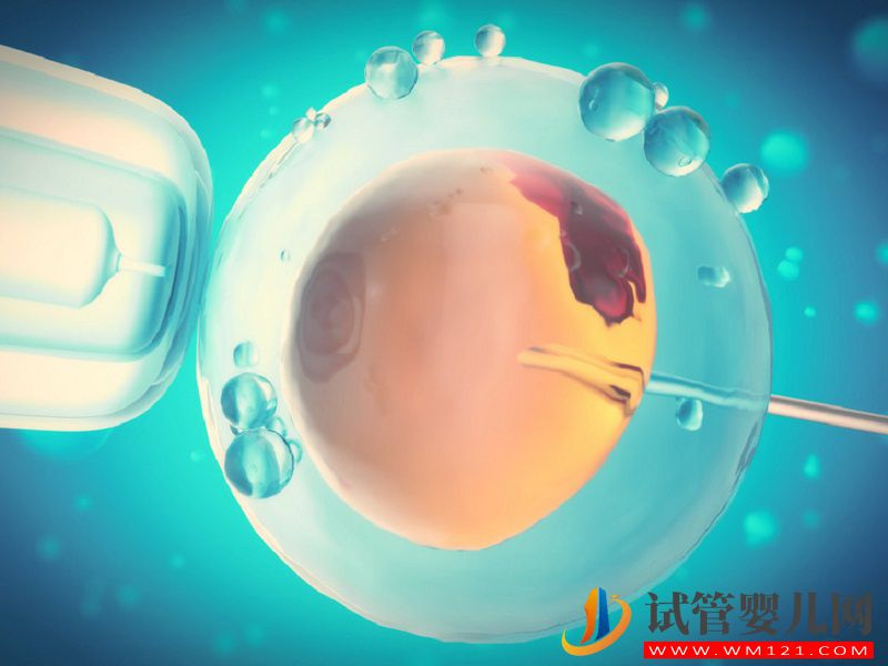 為什么都說試管嬰兒拮抗劑方案取出的卵泡質量更好？(圖1)
