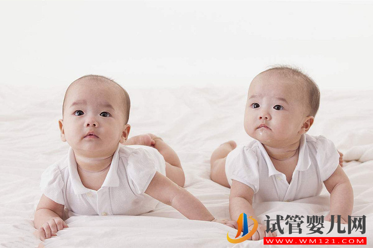 想一次生倆，促排藥克羅米芬幫你提高升雙胞胎的幾率(圖1)