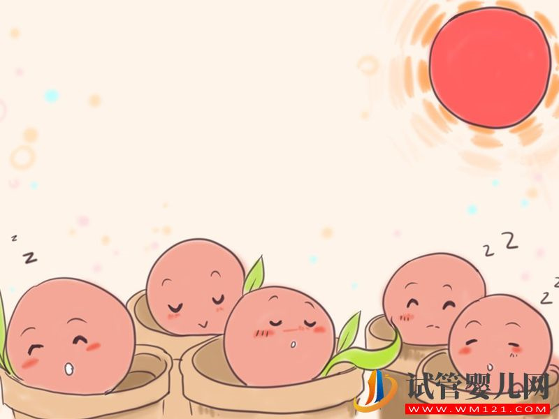 三代試管,試管嬰兒流程(圖2)