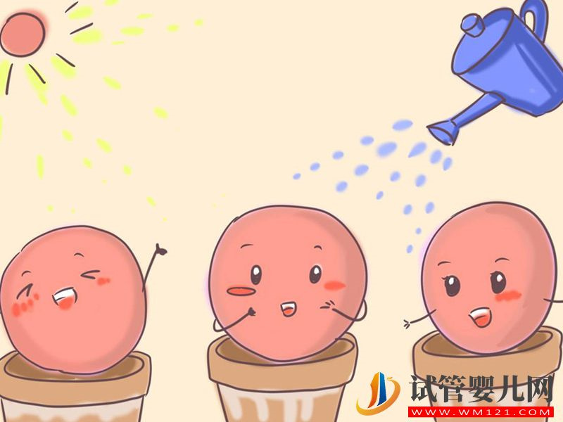 想去俄羅斯做試管，3步微刺激方案流程請(qǐng)查收(圖2)