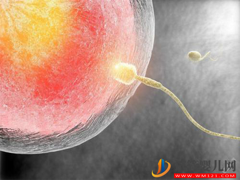 試管短方案促排期間需注意，想要高成功率先做好這些事(圖2)