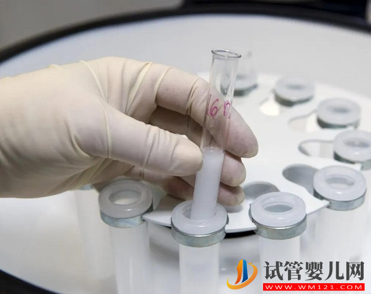 基礎卵泡較少做試管短方案取卵最好取幾個？(圖1)