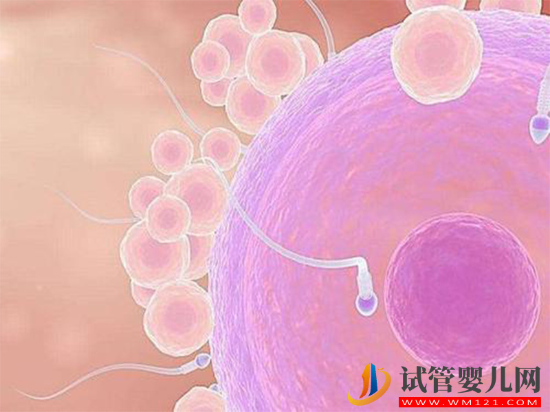 40歲高齡做試管，自然周期取卵成功率高嗎？(圖1)