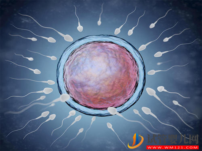 還在糾結自然周期或人工周期,3分鐘讓你明白兩者不同(圖2) 還在糾結自然周期或人工周期,3分鐘讓你明白兩者不同(圖2)