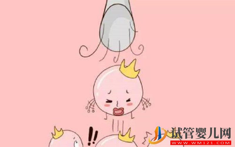 不降調直接促排對卵子好嗎？(圖1)