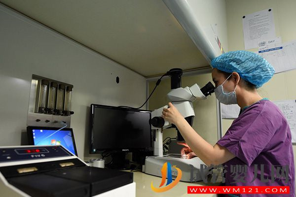 打完生長激素下一步是什么別擔心，試管流程步驟全在這(圖2)