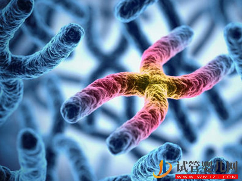 染色體平衡易位危害大，解析它的五大常見誘因(圖2)