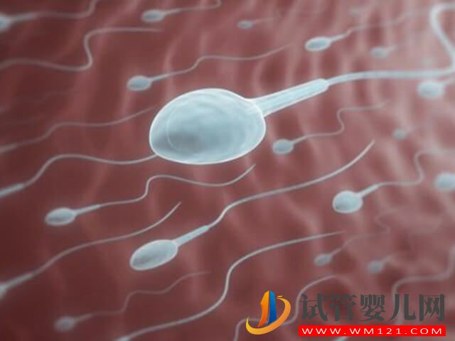 女性在快絕經(jīng)期間同房還能懷孕嗎？(圖2)