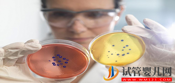 影響柬埔寨試管費用的3大因素，提前了解避免破費(圖1)