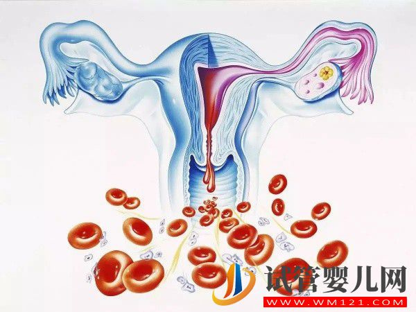 單側巧囊大于7cm做手術還能不能保住卵巢？(圖1)
